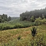 Kaszubka *