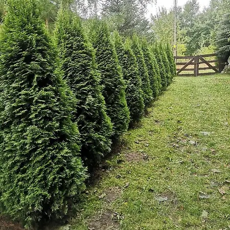 Kaszubka بيت للعطل