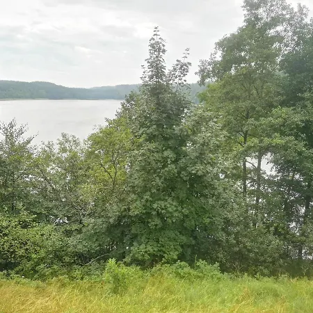 Kaszubka Czarna Dabrowka