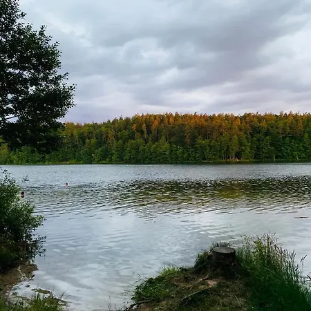 Kaszubka Czarna Dabrowka