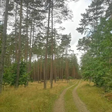 Kaszubka بيت للعطل *