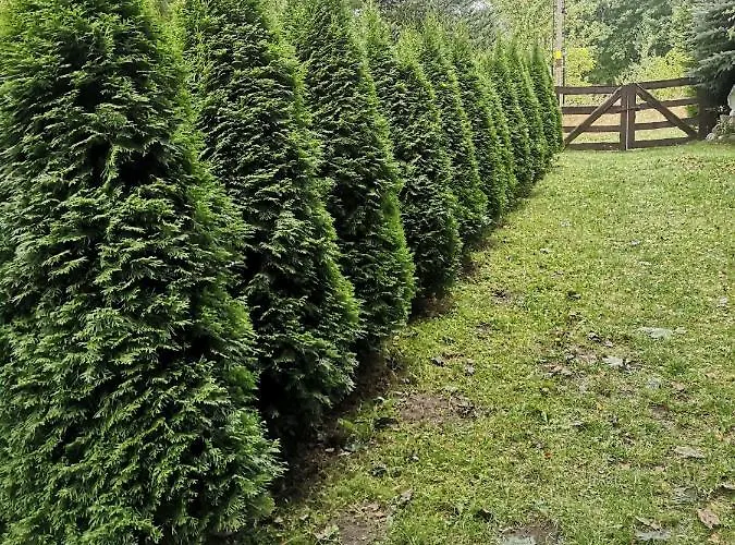 Kaszubka Holiday home