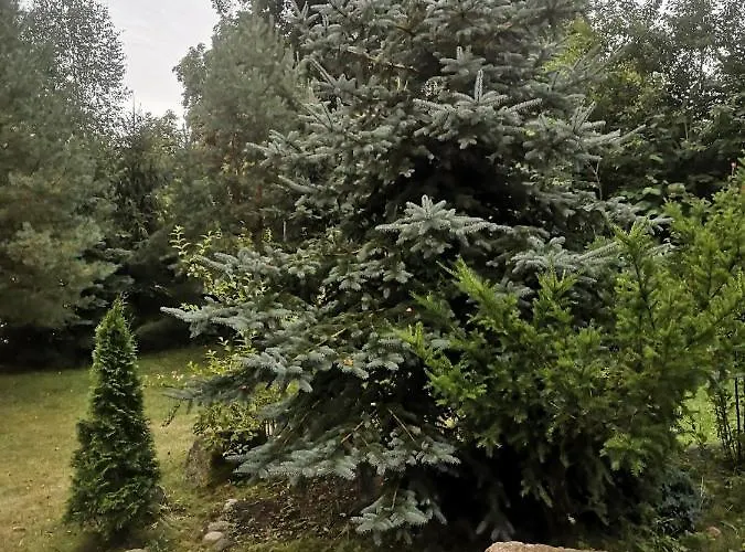 Holiday home Kaszubka *