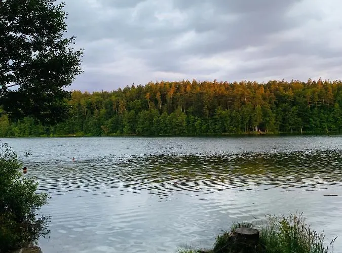 Kaszubka Czarna Dabrowka