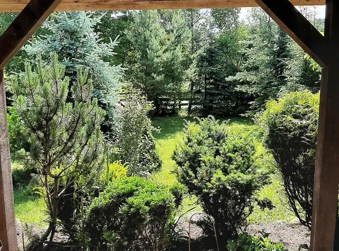 Kaszubka Czarna Dabrowka