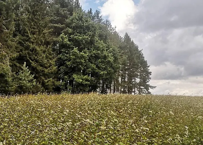 Kaszubka Holiday home *