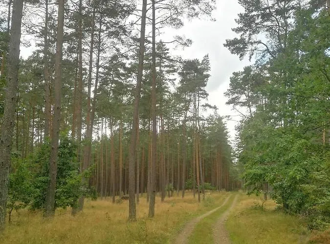 Kaszubka Ferienhaus *