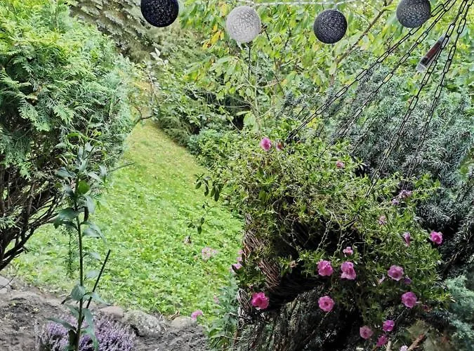 Kaszubka Holiday home Czarna Dabrowka